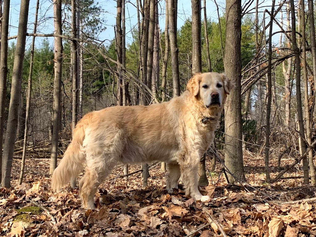 How Did I Get Here? (Pt.&nbsp;1)